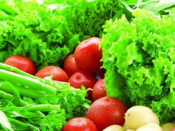 广州农副产品批发配送服务 连接农场与餐桌的食材供应链