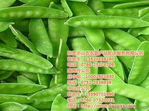 山农农副产品配送 连接田野与餐桌的绿色桥梁