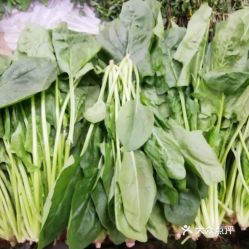 探访大洋路农副产品市场 这里的菠菜究竟好不好吃？