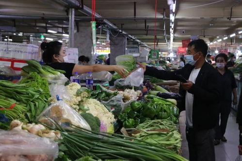 我市农副产品及医药消杀用品货足价稳供应平稳